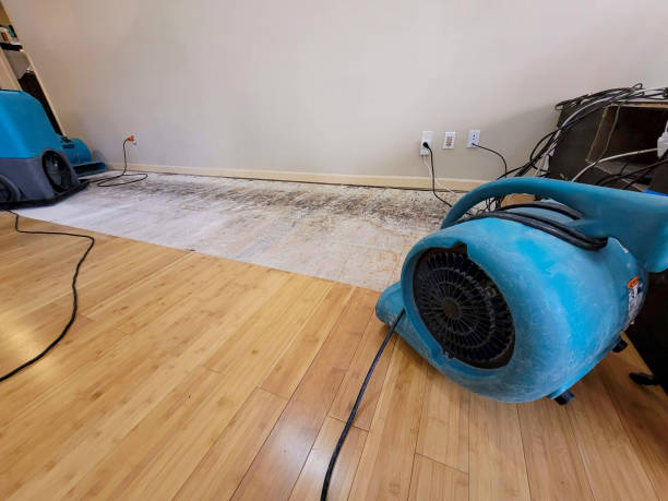 Professional Structural Drying technician working in Trent, SD